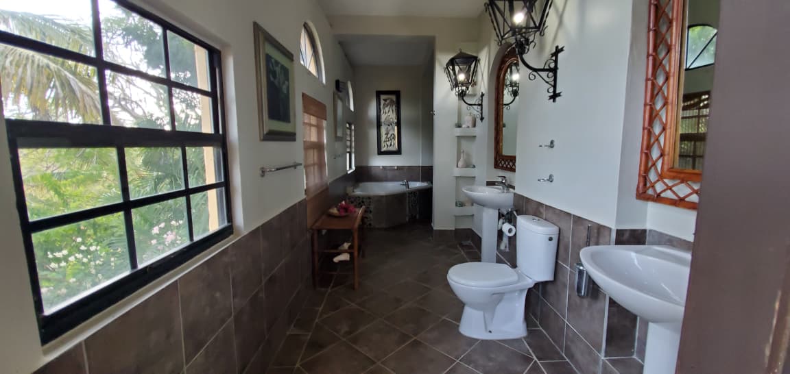 Villa entrance with palms