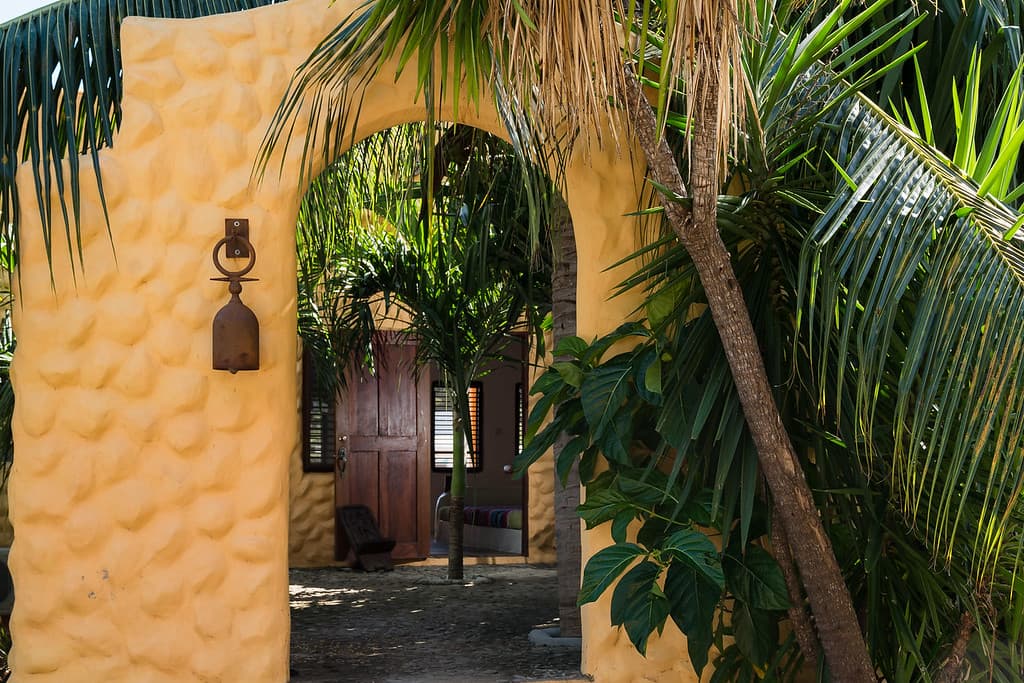 Villa entrance with palms
