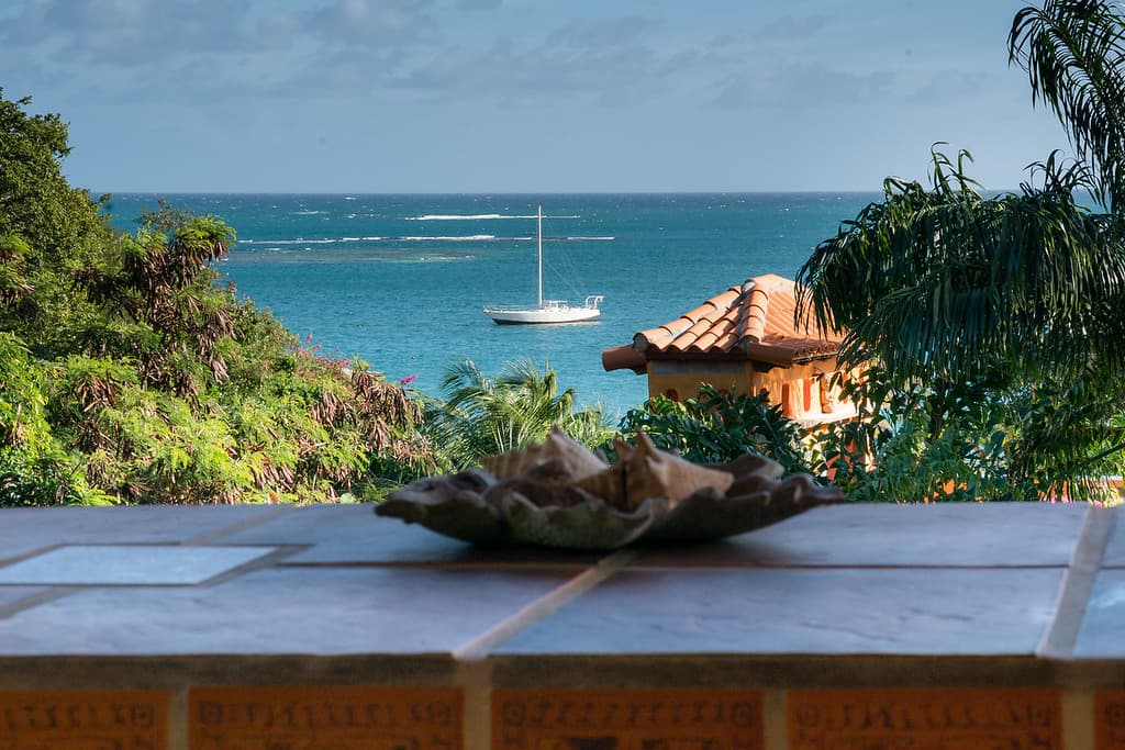 Tropical balcony view